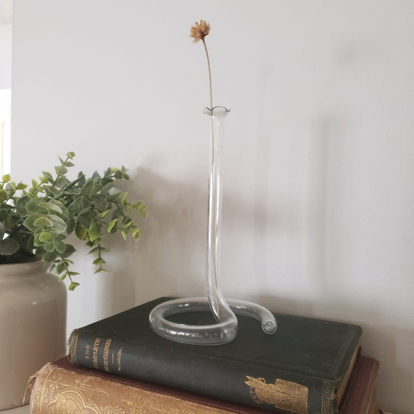 None Accents Vintage Glass Test Tube Bud Vase Poshmark